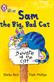 Sam and the Big Bad Cat: Band 03/Yellow